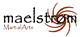 Maelstrom Martial Arts